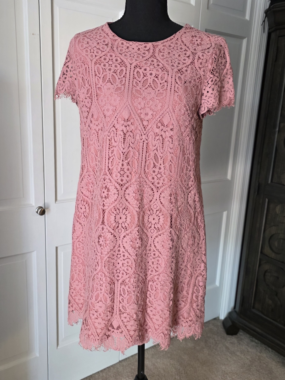 Francesca's Collections Pink Lace Short-Sleeve Mini Dress Spring Coquette